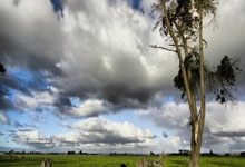 88直播:罗林斯:尼克斯防守做得很好很扎实 要称赞他们的表现.