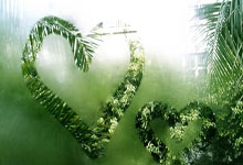 ⚡️开倒车!阿达拉比奥尤禁区外远射破门,切尔西1-0领先莫雷坎比.